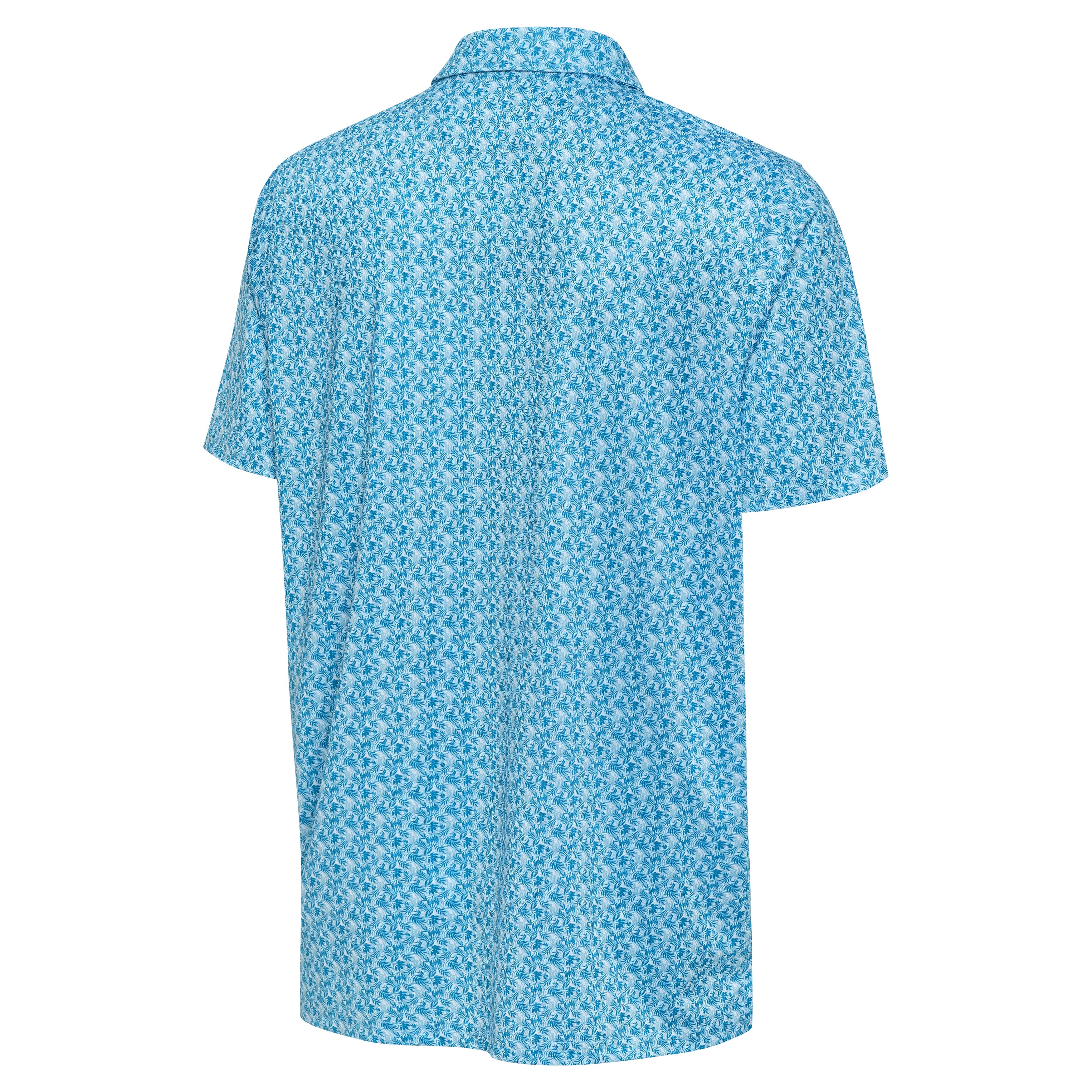 Collage Polo - Image 2